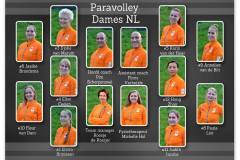 2016-rooster-Dutch-women-team-sitting-volleyball